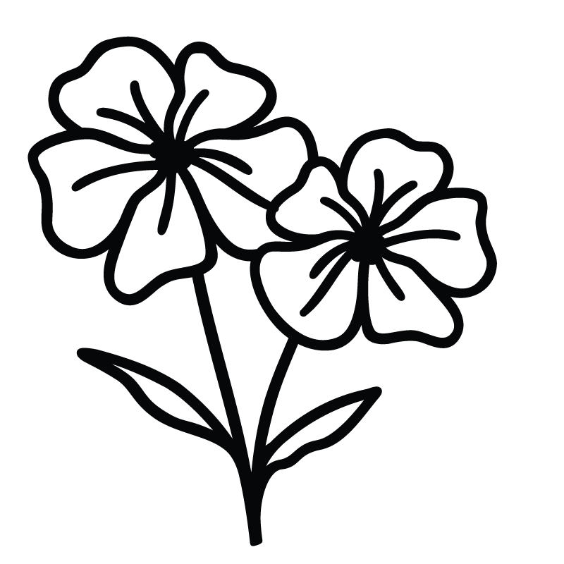 Blue Mallow