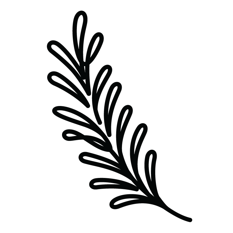 Rosemary Rosemary