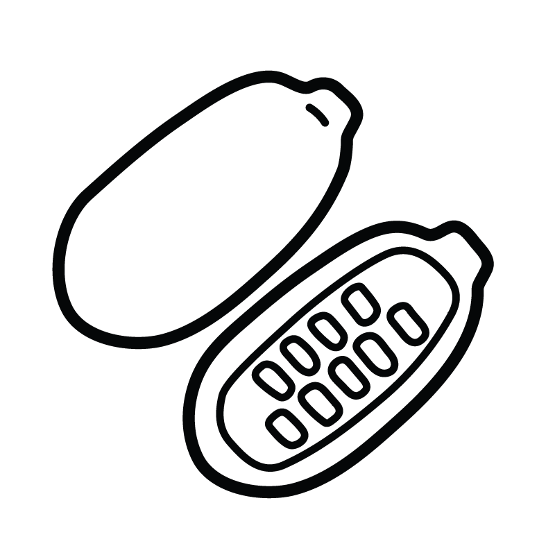 Cupuacu Butter