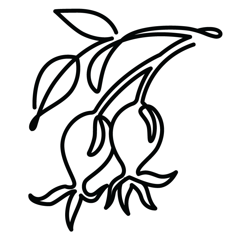 Rosehip Rosehip