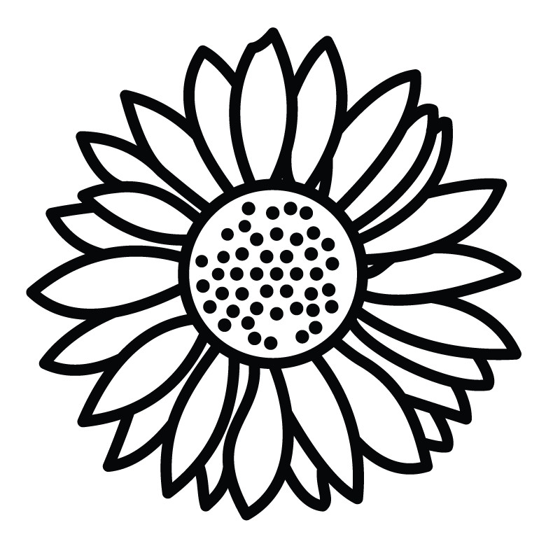 Sunflower Sunflower